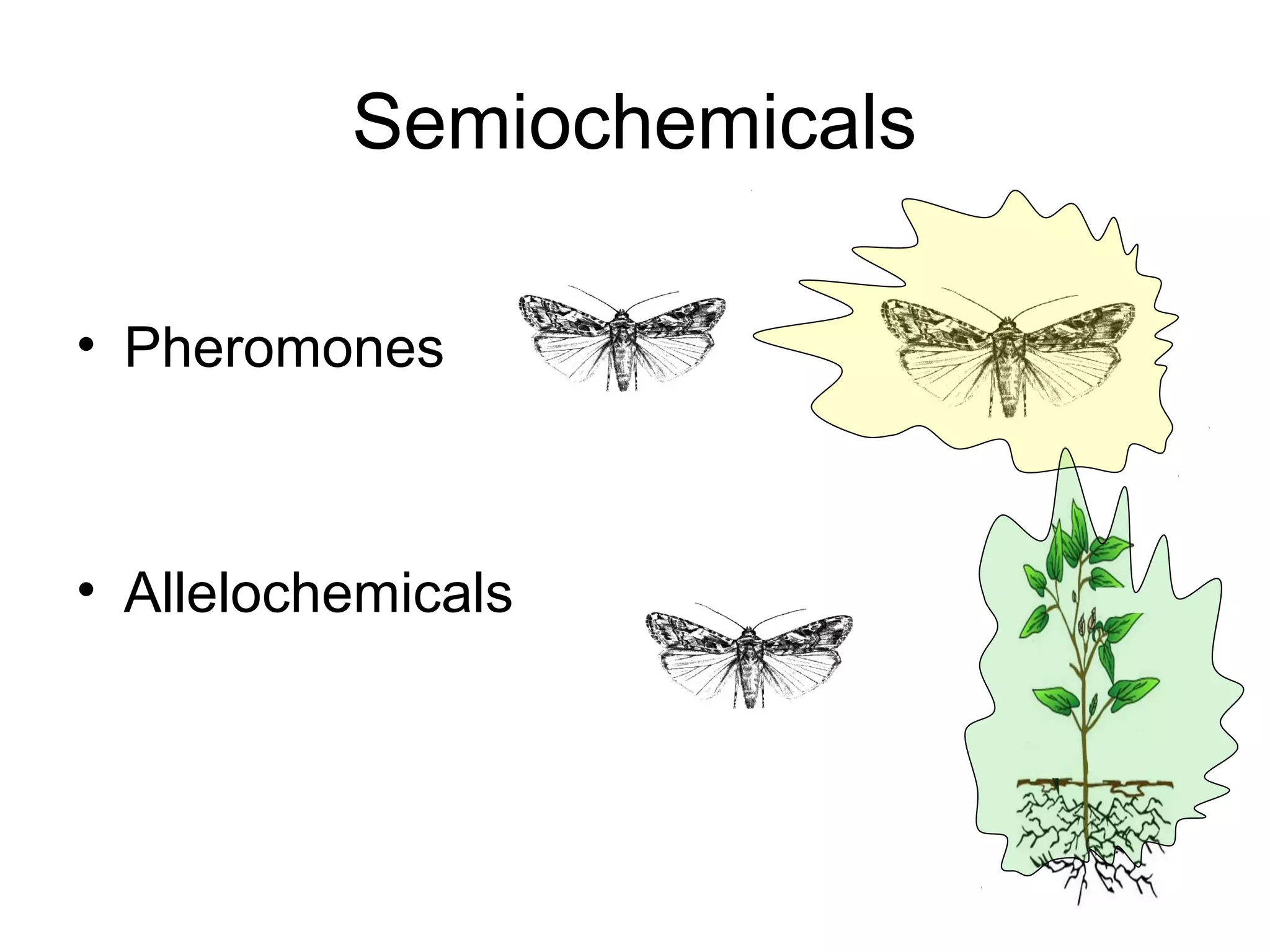 Semiochemicals
• Pheromones
• Allelochemicals
 