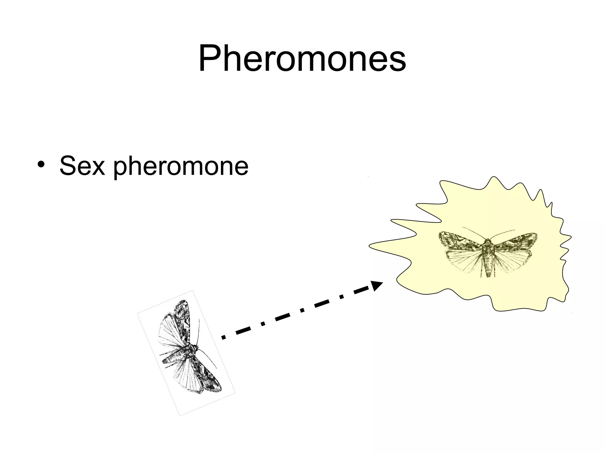 Pheromones
• Sex pheromone
 