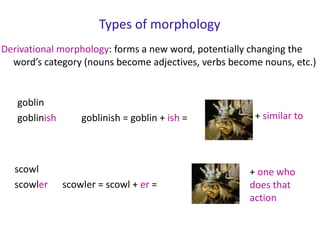 Types of morphology
scowl
scowler scowler = scowl + er =
+ one who
does that
action
goblin
goblinish goblinish = goblin + ish = + similar to
Derivational morphology: forms a new word, potentially changing the
word’s category (nouns become adjectives, verbs become nouns, etc.)
 