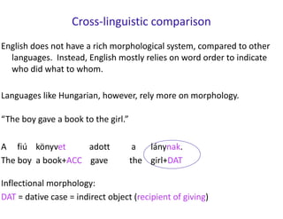 Cross-linguistic comparison
English does not have a rich morphological system, compared to other
languages. Instead, English mostly relies on word order to indicate
who did what to whom.
Languages like Hungarian, however, rely more on morphology.
Inflectional morphology:
DAT = dative case = indirect object (recipient of giving)
“The boy gave a book to the girl.”
A fiú könyvet adott a lánynak.
The boy a book+ACC gave the girl+DAT
 