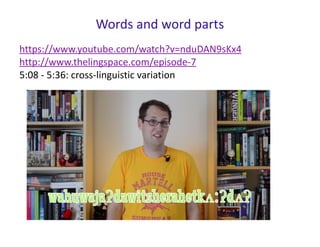 Words and word parts
https://www.youtube.com/watch?v=nduDAN9sKx4
http://www.thelingspace.com/episode-7
5:08 - 5:36: cross-linguistic variation
 
