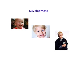 Development
 