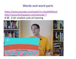 Words and word parts
https://www.youtube.com/watch?v=nduDAN9sKx4
http://www.thelingspace.com/episode-7
0:38 - 3:10: smallest units of meaning
 