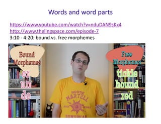 Words and word parts
https://www.youtube.com/watch?v=nduDAN9sKx4
http://www.thelingspace.com/episode-7
3:10 - 4:20: bound vs. free morphemes
 