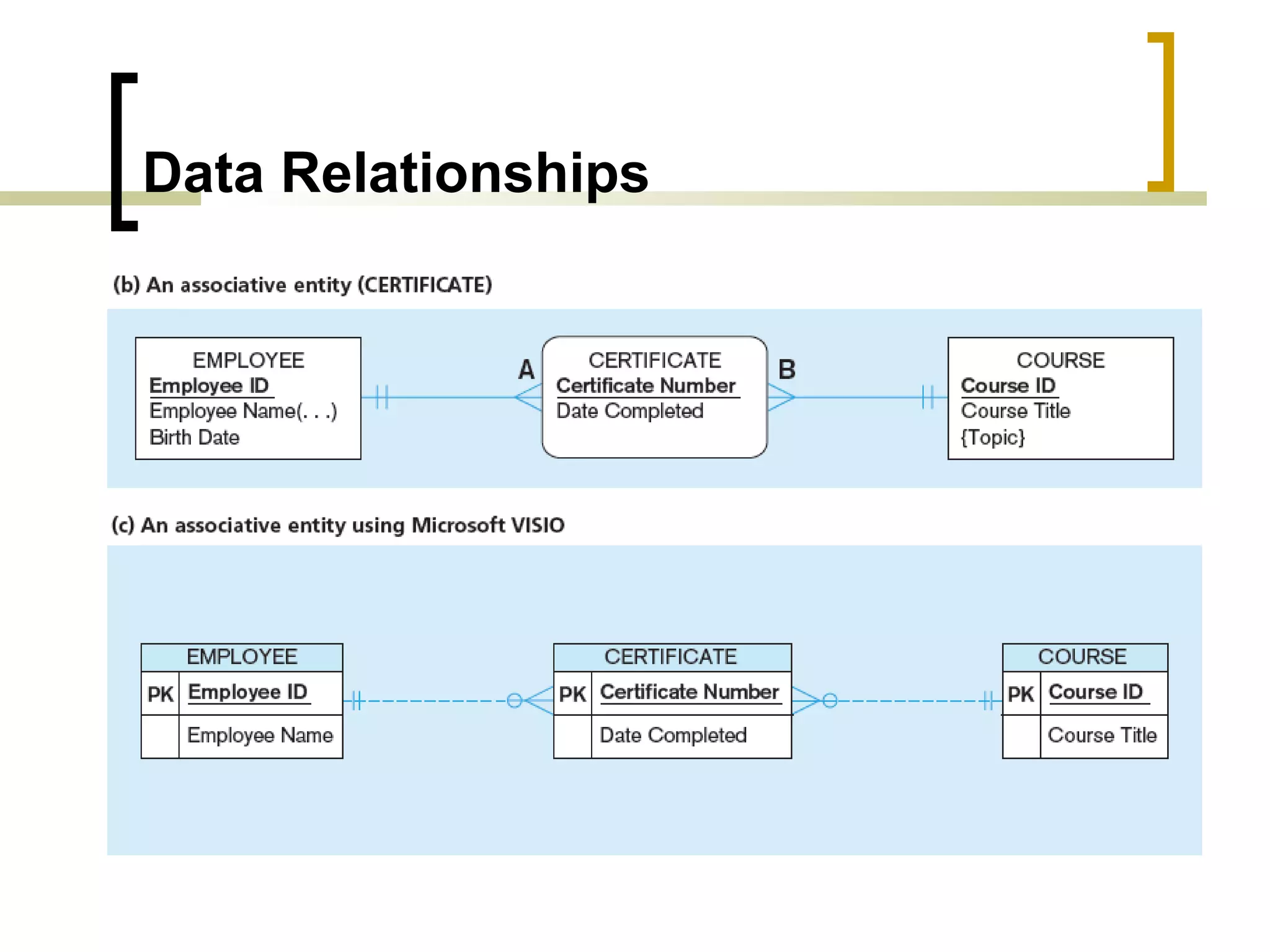 Data Relationships 
