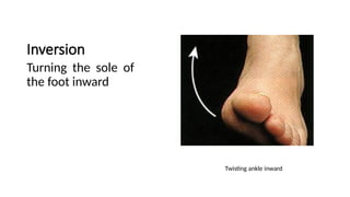 Foot Inward Inversion LECTURE 1_668acf50-2a6a-4e06-b2b6-fae3d1a79d0a.pptx