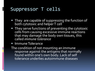 Suppressor T cells They  are capable of suppressing the function of both cytotoxic and helper T cell They serve functions of preventing the cytotoxic cells from causing excessive immune reactions that may damage the body own tissues, this called immune tolerance Immune Tolerance The condition of not mounting an immune response against the antigens that normally found within one’s own body. Lack of self tolerance underlies autoimmune diseases 