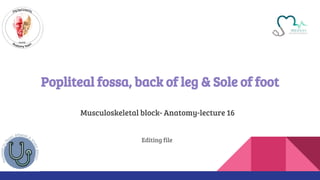 Popliteal fossa, back of leg & Sole of foot
Musculoskeletal block- Anatomy-lecture 16
Editing file
 