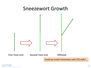 Sneezewort Growth




First Time Unit   Second Time Unit         Offshoot
                               Could we model Sneezewort with PS3 code?

                                                                          12
 