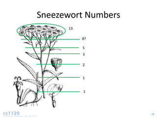 Sneezewort Numbers
      13

           8?

           5
           3

           2


           1


           1




                     13
 