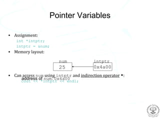 Pointer Variables

• Assignment:
   int *intptr;
   intptr = &num;
• Memory layout:

                        num              intptr
                        25               0x4a00
• Can access num using intptr and indirection operator *:
     address of num: 0x4a00
      cout << *intptr << endl;
 