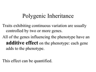 Additive Inheritance LecturehjsdfjsdkjfhjFGKJhfdKFHkfhkdsFJ_17.ppt
