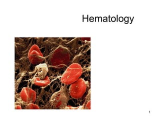 1
Hematology
 