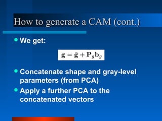How to generate a CAM (cont.)
 We   get:



 Concatenate  shape and gray-level
  parameters (from PCA)
 Apply a further PCA to the
  concatenated vectors
 