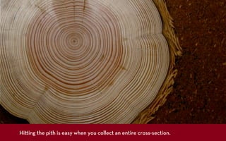 Hi ing the pith is easy when you collect an entire cross-section.
 