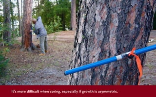 It’s more diﬃcult when coring, especially if growth is asymmetric.
 