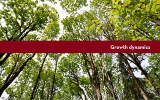 Growth dynamics




Source: Kyle Pierce
 