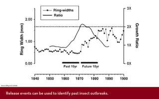Source: Berg et al. (2006)




       Release events can be used to identify past insect outbreaks.
 