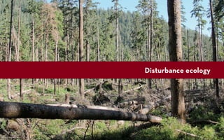 Disturbance ecology




Source: Miguel Vieira
 