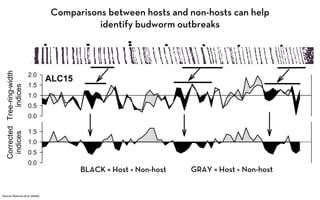Comparisons between hosts and non-hosts can help
                                          identify budworm outbreaks




                                      BLACK = Host < Non-host   GRAY = Host > Non-host


Source: Ryerson et al. (2003)
 