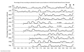Percentage of trees recording an outbreak of western spruce budworm in the Rio Grande National Forest, Colorado




Source: Ryerson et al. (2003)
 
