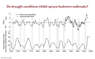 Do drought conditions inhibit spruce budworm outbreaks?




Source: Ryerson et al. (2003)
 