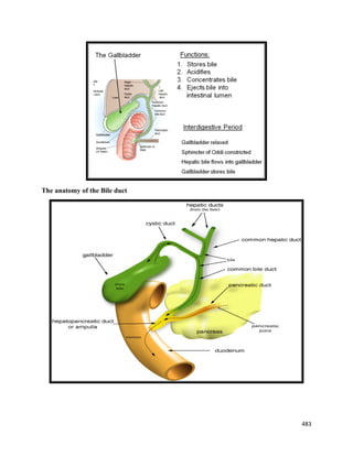 483 
 
The anatomy of the Bile duct
 