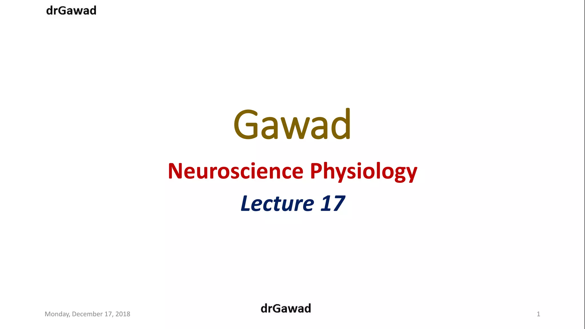 Lecture+17+ppt | PPT