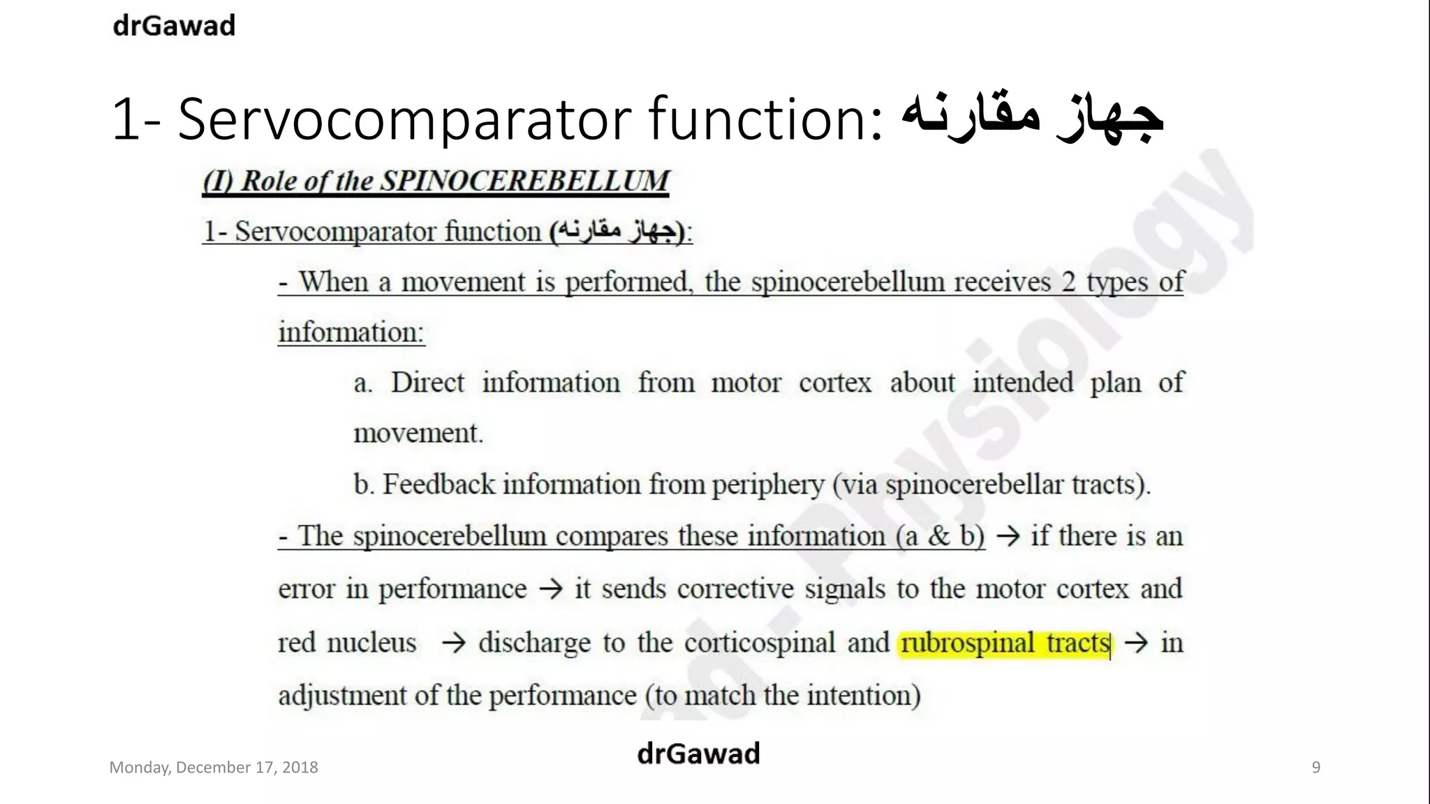 Lecture+17+ppt | PPT