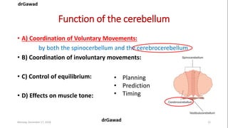 Lecture+17+ppt | PPT