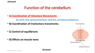 Lecture+17+ppt | PPT