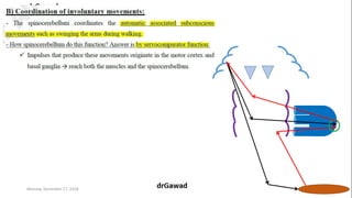 Lecture+17+ppt | PPT