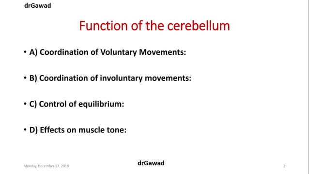 Lecture+17+ppt | PPT