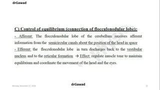 Lecture+17+ppt | PPT