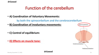 Lecture+17+ppt | PPT