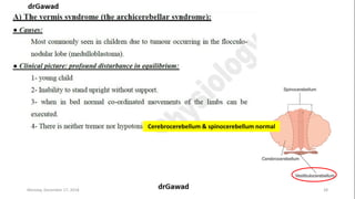 Lecture+17+ppt | PPT