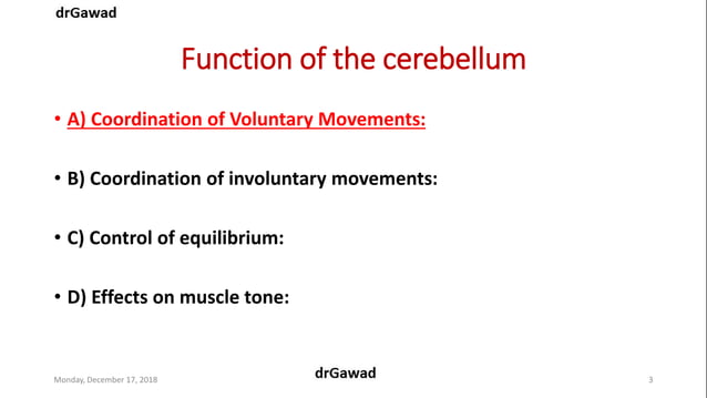 Lecture+17+ppt | PPT