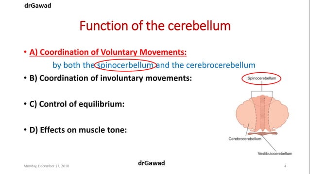Lecture+17+ppt | PPT