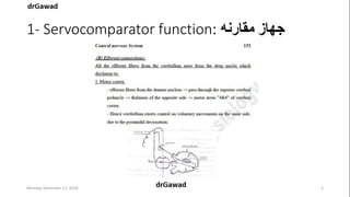 Lecture+17+ppt | PPT