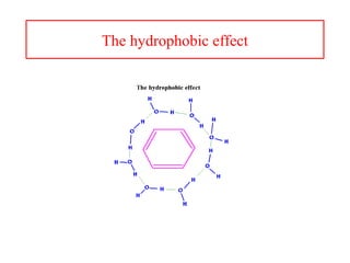 The hydrophobic effect
 
