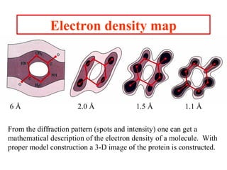 Electron density map
6 Å 2.0 Å 1.5 Å 1.1 Å
From the diffraction pattern (spots and intensity) one can get a
mathematical description of the electron density of a molecule. With
proper model construction a 3-D image of the protein is constructed.
 
