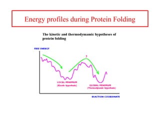 Energy profiles during Protein Folding
 