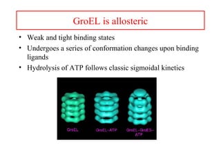 GroEL is allosteric
• Weak and tight binding states
• Undergoes a series of conformation changes upon binding
ligands
• Hydrolysis of ATP follows classic sigmoidal kinetics
 