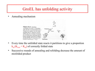 GroEL has unfolding activity
• Annealing mechanism
• Every time the unfolded state reacts it partitions to give a proportion
kfold/(kmisfold + Kfold) of correctly folded state
• Successive rounds of annealing and refolding decrease the amount of
misfolded product
 
