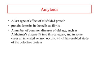 Amyloids
• A last type of effect of misfolded protein
• protein deposits in the cells as fibrils
• A number of common diseases of old age, such as
Alzheimer's disease fit into this category, and in some
cases an inherited version occurs, which has enabled study
of the defective protein
 
