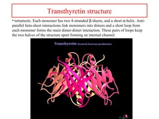 Transthyretin structure
• tetrameric. Each monomer has two 4-stranded β-sheets, and a short α-helix. Anti-
parallel beta-sheet interactions link monomers into dimers and a short loop from
each monomer forms the main dimer-dimer interaction. These pairs of loops keep
the two halves of the structure apart forming an internal channel.
 