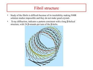 Fibril structure
• Study of the fibrils is difficult because of its insolubility making NMR
solution studies impossible and they do not make good crystals
• X-ray diffraction, indicates a pattern consistent with a long β-helical
structure, with 24 β-strands per turn of the β-helix.
 