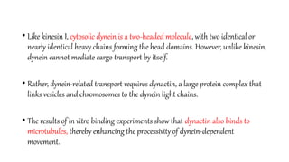 Intracellular Transport Mechanisms: Kinesin and Dynein Motor Proteins ...