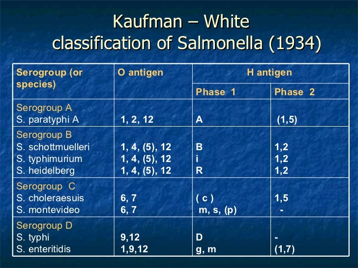 Bohomolets Microbiology Lecture 18