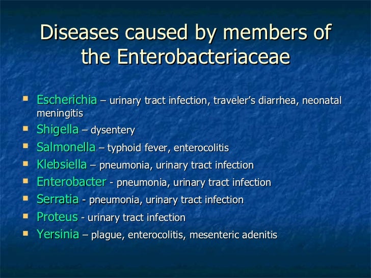 Traveler S Diarrhea And Shigella Traveler S Diarrhea And Shigella